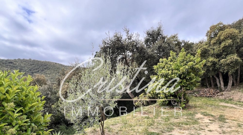 Gerona - Santa Cristina d'Aro - 1900m2