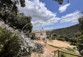 Xalet independent amb terreny en venda a Santa Cristina d'Aro ref.: TR232861 foto