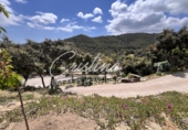 Xalet independent amb terreny en venda a Santa Cristina d'Aro ref.: TR232861 foto