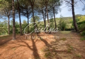 Finca rústica en venda a Santa Cristina d'Aro ref.: TR356317 foto