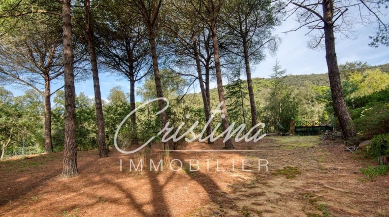 Gerona - Santa Cristina d'Aro - 2500m2