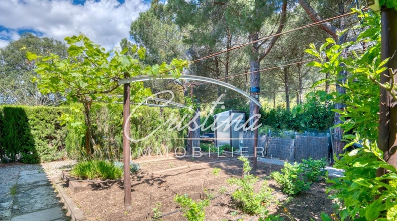 Gerona - Santa Cristina d'Aro - 2260m2