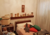 Village house for sale in Elda ref: TR188342 photo