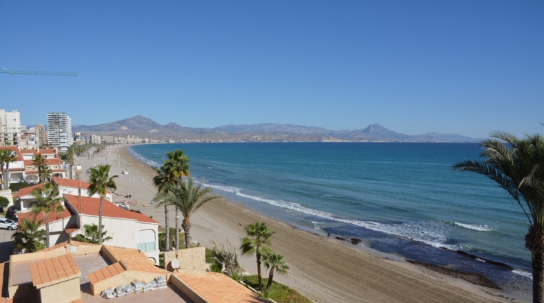 Alicante - Alicante - 450m2