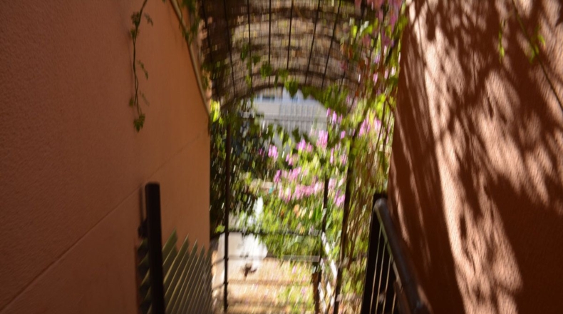Alicante - Alicante - 450m2