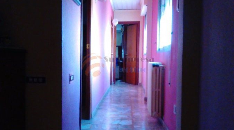 Alicante - Sax - 280m2