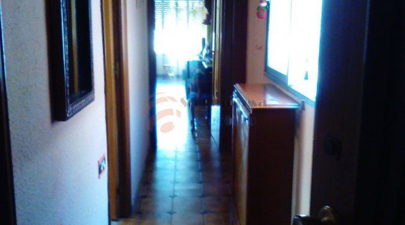 Alicante - Sax - 280m2