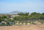 Rural estate for sale in Petrer ref: TR55504 photo