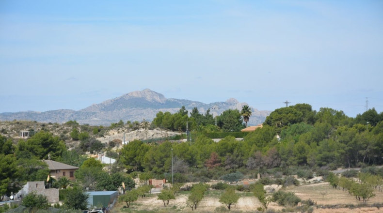 Alicante - Petrer - 27000m2