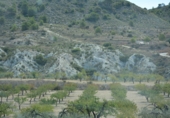 Rural estate for sale in Petrer ref: TR55504 photo