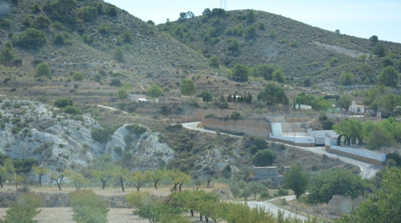 Alicante - Petrer - 27000m2