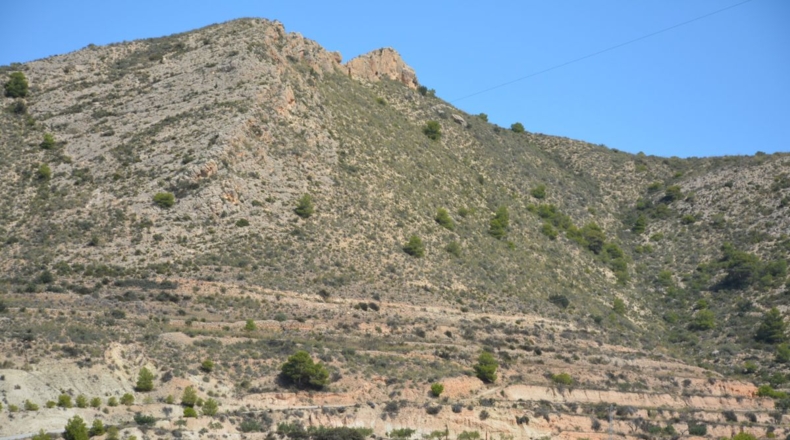 Alicante - Petrer - 27000m2
