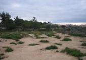 Rural estate for sale in Monóvar ref: TR200101 photo