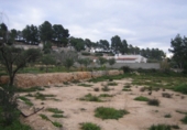 Rural estate for sale in Monóvar ref: TR200101 photo