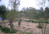 Rural estate for sale in Monóvar ref: TR200101 photo