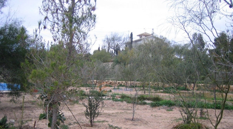 Alicante - Monóvar - 10000m2