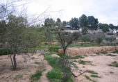 Rural estate for sale in Monóvar ref: TR200101 photo