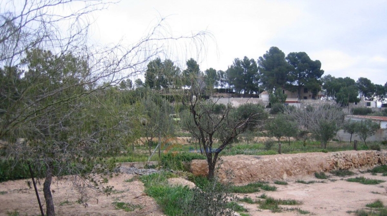 Alicante - Monóvar - 10000m2