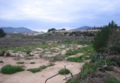 Rural estate for sale in Monóvar ref: TR200101 photo
