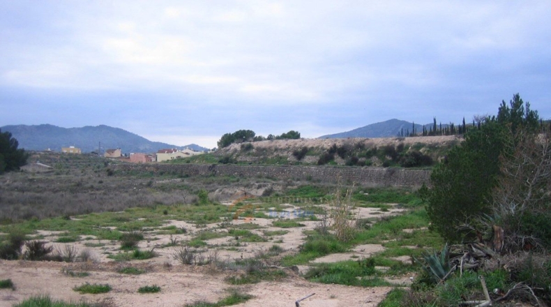 Alicante - Monóvar - 10000m2