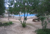 Rural estate for sale in Monóvar ref: TR200101 photo