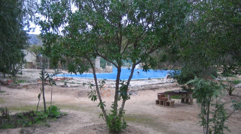 Alicante - Monóvar - 10000m2