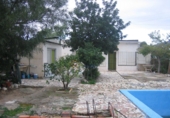 Rural estate for sale in Monóvar ref: TR200101 photo