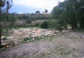 Rural estate for sale in Monóvar ref: TR200101 photo