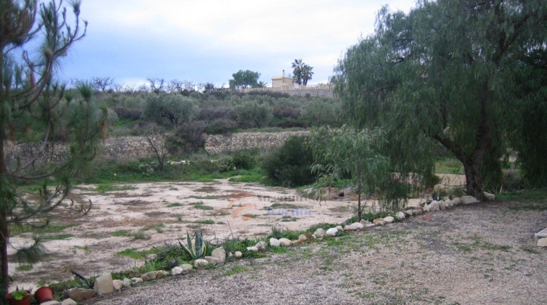 Alicante - Monóvar - 10000m2