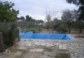 Rural estate for sale in Monóvar ref: TR200101 photo