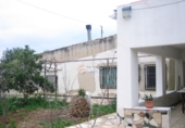 Rural estate for sale in Monóvar ref: TR200101 photo