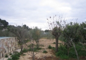 Rural estate for sale in Monóvar ref: TR200101 photo