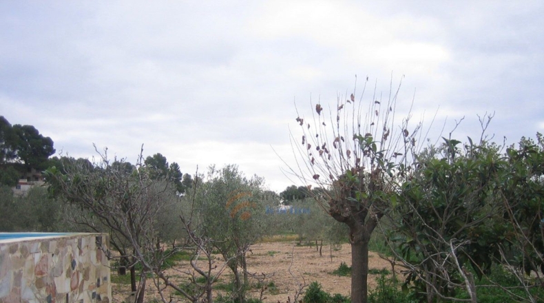 Alicante - Monóvar - 10000m2