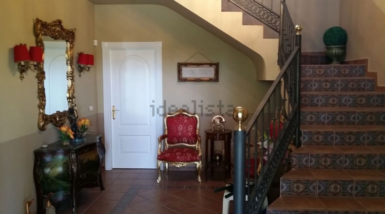 Alicante - Petrer - 1500m2