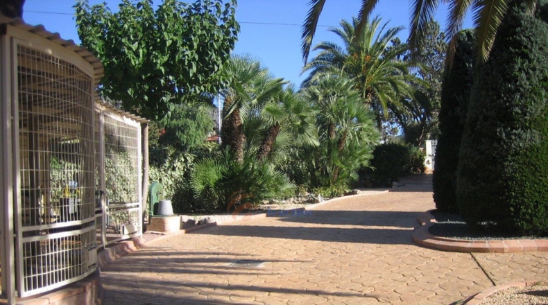 Alicante - Petrer - 3000m2