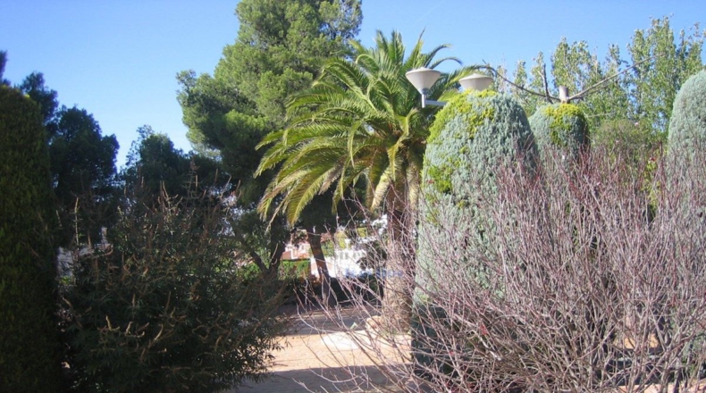 Alicante - Petrer - 3000m2