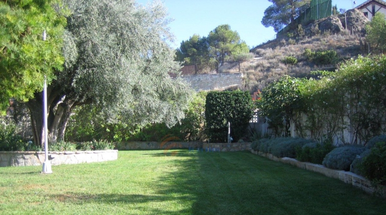 Alicante - Petrer - 3000m2