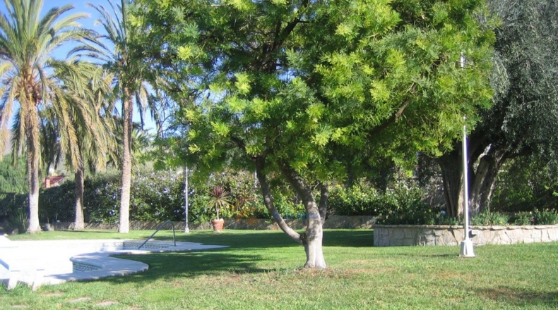 Alicante - Petrer - 3000m2