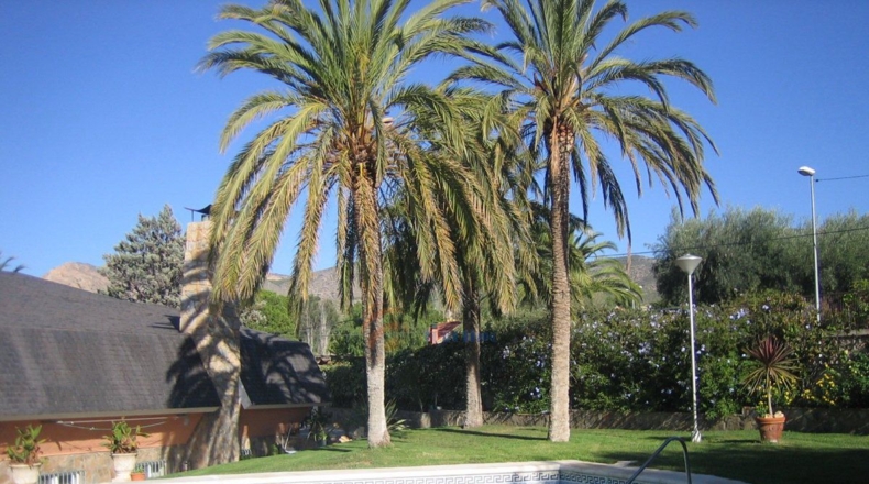 Alicante - Petrer - 3000m2