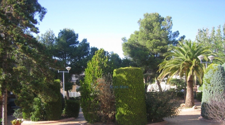 Alicante - Petrer - 3000m2