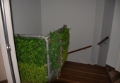 Semi-detached house with land for sale in Petrer ref: TR200098 photo