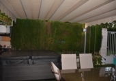 Semi-detached house with land for sale in Petrer ref: TR200098 photo