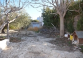 Village house for sale in Elda ref: TR38943 photo