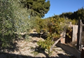 Village house for sale in Elda ref: TR38943 photo