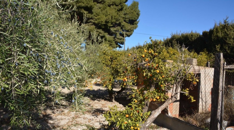 Alicante - Elda - 80m2