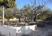 Village house for sale in Elda ref: TR38943 photo