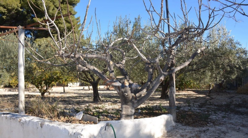 Alicante - Elda - 80m2