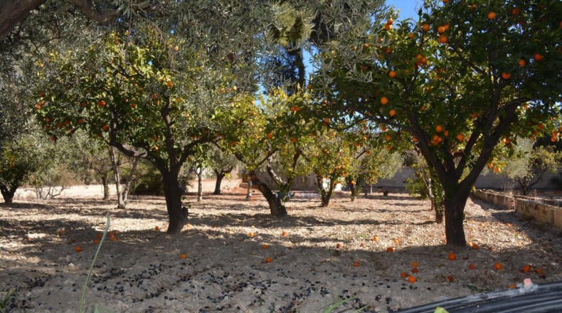 Alicante - Elda - 80m2