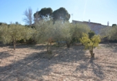 Village house for sale in Elda ref: TR38943 photo