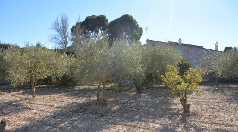 Alicante - Elda - 80m2